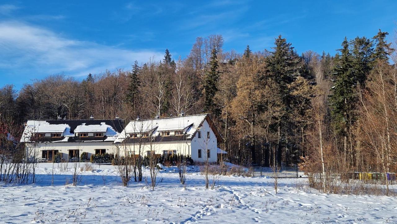 Widokowo - Domki Z Widokiem Na Sniezke Z Jacuzzi I Sauna Karpacz Εξωτερικό φωτογραφία